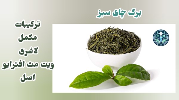 برگ چای سبز در مکمل لاغری ویت مث افترایو اصل