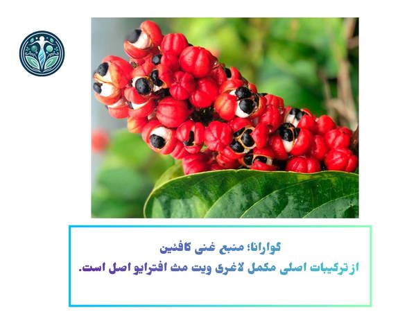 گوارانا از ترکیبات مکمل لاغری ویت مث افترایو اصل