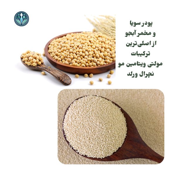 مولتی ویتامین نچرال ورلد