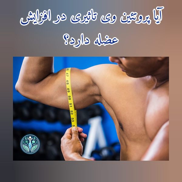 سوالات رایج درباره پروتئین وی و تاثیر آن بر افزایش عضله