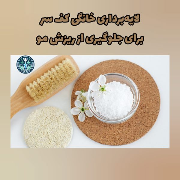 لایهبرداری خانگی