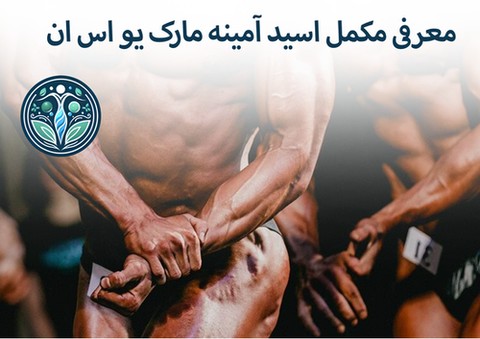 مکمل اسید آمینه