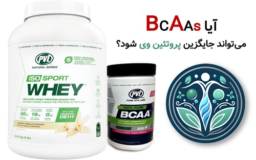 آیا بی سی ای ای می تواند جایگزین پروتئین وی شوند؟