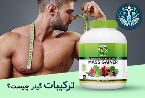 ترکیبات گینر چیست؟