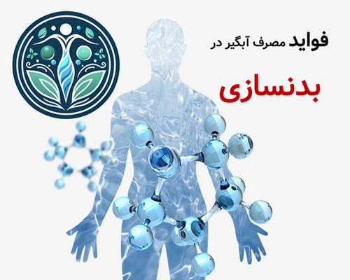 فواید ابگیر در بدنسازی