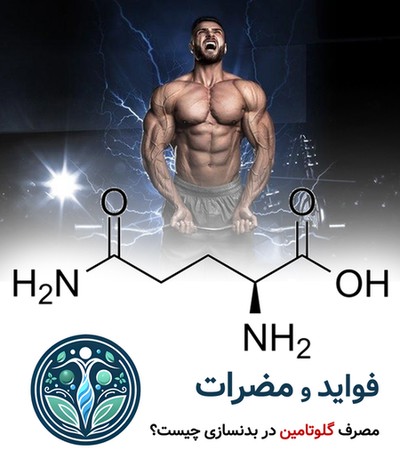 فواید و مضرات مصرف گلوتامین در بدنسازی چیست؟