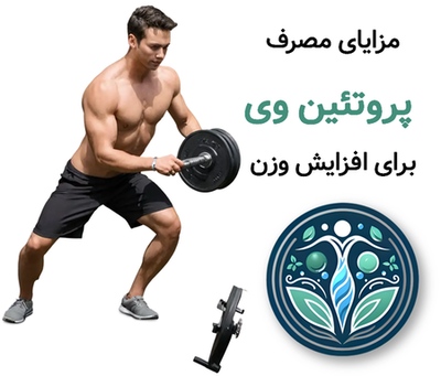 مزایای مصرف پروتئین وی برای چاقی