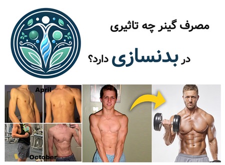 مصرف گینر چه تاثیری در بدنسازی دارد؟