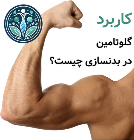 آنچه باید در مورد گلوتامین بدانیم 