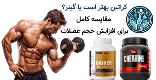 کراتین بهتر است یا گینر؟ مقایسه کامل برای افزایش حجم عضلات