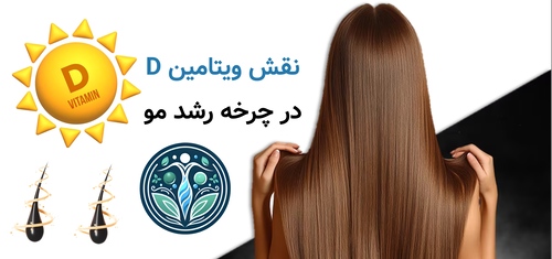 نقش ویتامین D در چرخه رشد مو