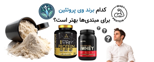 کدام برند وی پروتئین برای مبتدی‌ها بهتر است؟ راهنمای انتخاب هوشمندانه