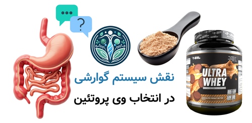 نقش سیستم گوارشی در انتخاب وی پروتئین