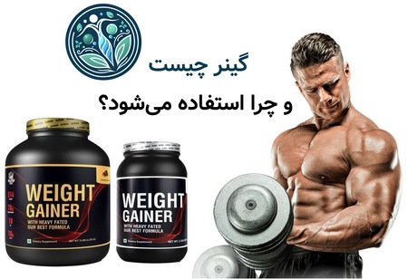 گینر چیست و چرا استفاده می‌شود؟