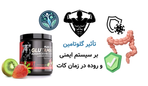 تأثیر گلوتامین بر سیستم ایمنی و روده در زمان کات