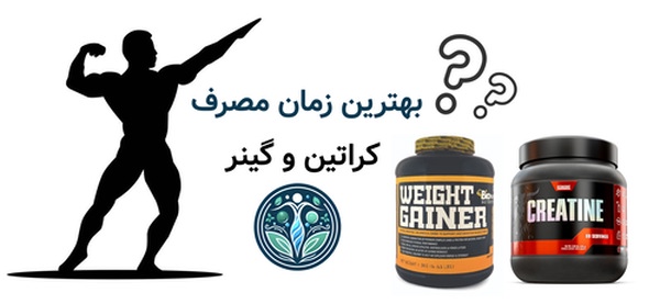 بهترین زمان مصرف کراتین و گینر