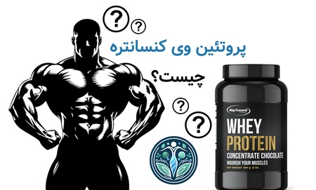 پروتئین وی کنسانتره چیست؟