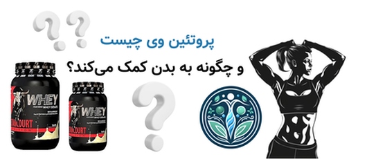 پروتئین وی چیست و چگونه به بدن کمک میکند؟