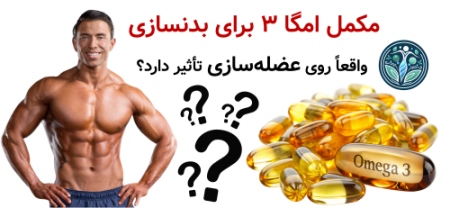 مکمل امگا ۳ برای بدنسازی؛ واقعاً روی عضله‌سازی تأثیر دارد؟