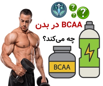 مصرف BCAA قبل از خواب | آیا مصرف BCAA قبل از خواب مفید است یا مضر؟ BCAA در بدن چه میکند و چرا زمان مصرف اهمیت دارد؟