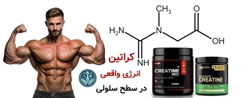 مکمل افزایش انرژی | بهترین مکمل‌ها برای افزایش انرژی قبل تمرین کراتین؛ انرژی واقعی در سطح سلولی