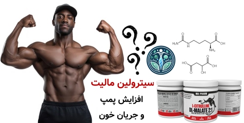 مکمل افزایش انرژی | بهترین مکمل‌ها برای افزایش انرژی قبل تمرین سیترولین مالیت؛ افزایش پمپ و جریان خون