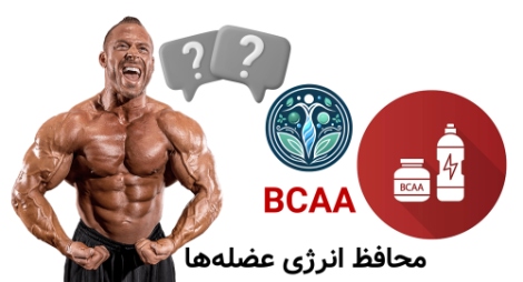 مکمل افزایش انرژی | بهترین مکمل‌ها برای افزایش انرژی قبل تمرین BCAA؛ محافظ انرژی عضله‌ها