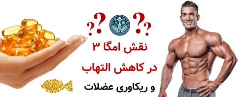 مکمل امگا ۳ برای بدنسازی؛ واقعاً روی عضله‌سازی تأثیر دارد؟ نقش امگا ۳ در کاهش التهاب و ریکاوری عضلات