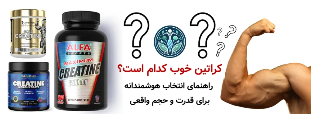 کراتین خوب کدام است؟ راهنمای انتخاب هوشمندانه برای قدرت و حجم واقعی
