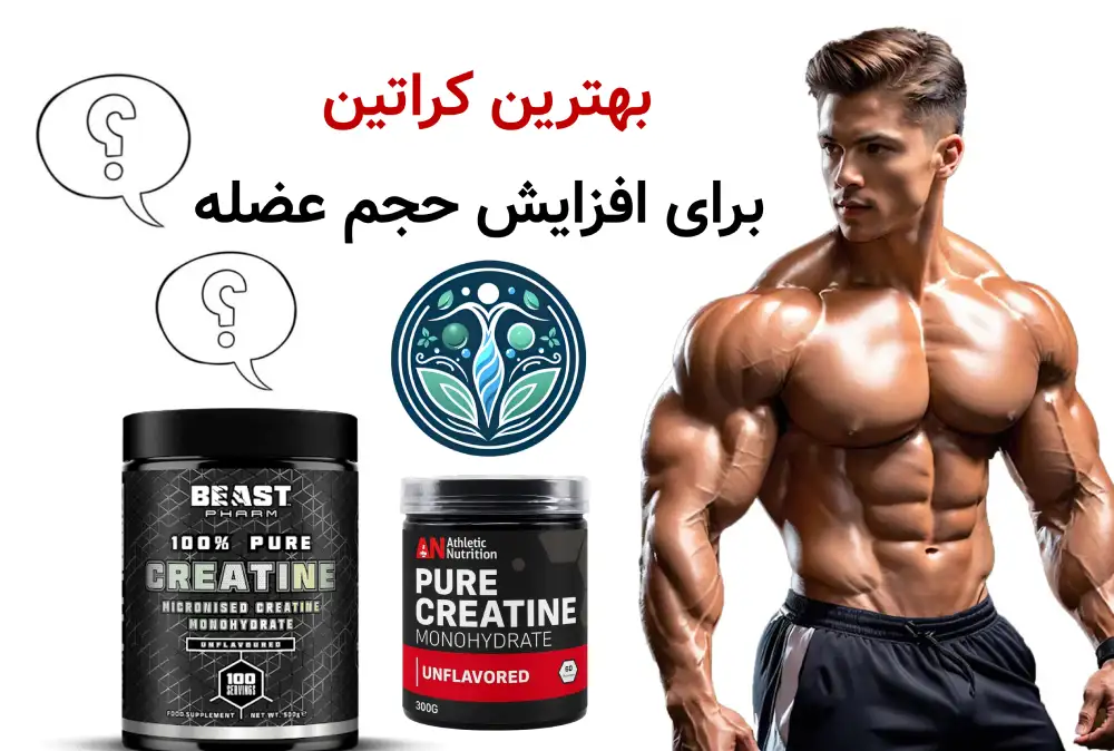 بهترین کراتین برای افزایش حجم عضله کدام است؟ (راهنمای انتخاب درست)