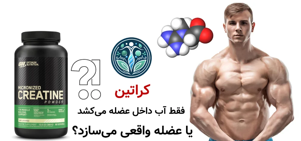 کراتین فقط آب داخل عضله میکشد یا عضله واقعی میسازد؟