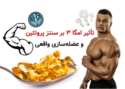 مکمل امگا ۳ برای بدنسازی؛ واقعاً روی عضله‌سازی تأثیر دارد؟ تأثیر امگا ۳ بر سنتز پروتئین و عضله‌سازی واقعی