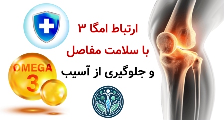 مکمل امگا ۳ برای بدنسازی؛ واقعاً روی عضله‌سازی تأثیر دارد؟ ارتباط امگا ۳ با سلامت مفاصل و جلوگیری از آسیب