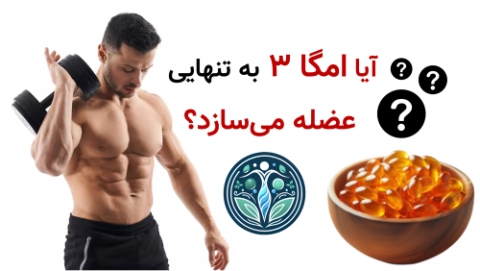 مکمل امگا ۳ برای بدنسازی؛ واقعاً روی عضله‌سازی تأثیر دارد؟ 