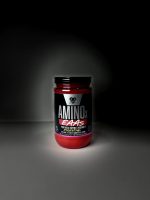 آمینو ایکس ای ای ای بی اس ان (BSN Amino EAA)